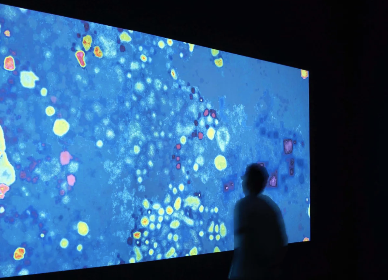 Tentoonstellingen De paddenstoel aan het einde van de wereld