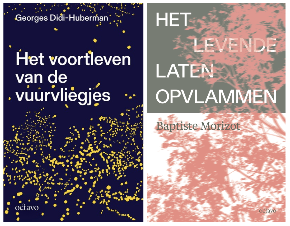 Nieuwsbrief Octavo: tips voor de feestdagen