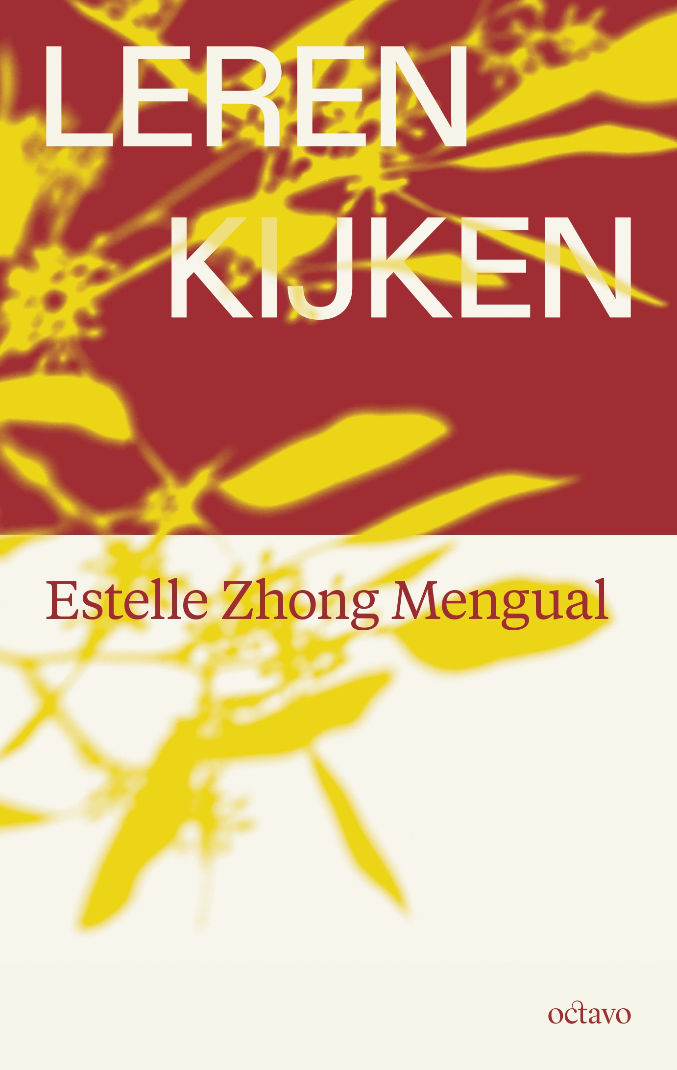 Leren kijken - Estelle Zhong Mengual (ISBN: 9789490334406)